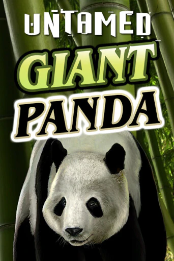 Демо игра Untamed - Giant Panda играть онлайн | Grand Casino бесплатно